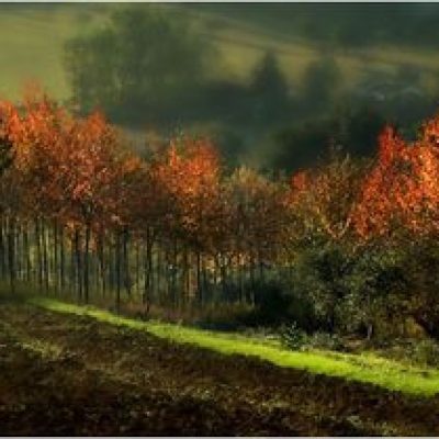 Autumn Macerata - Marche - Italy