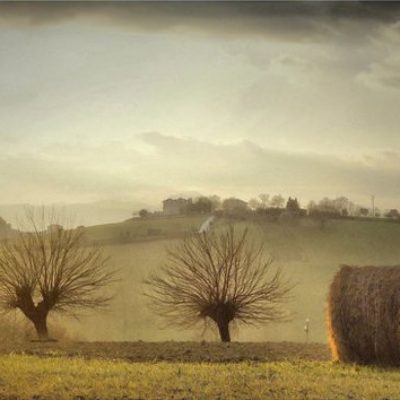Spring smell Macerata 2 - Marche - Italy