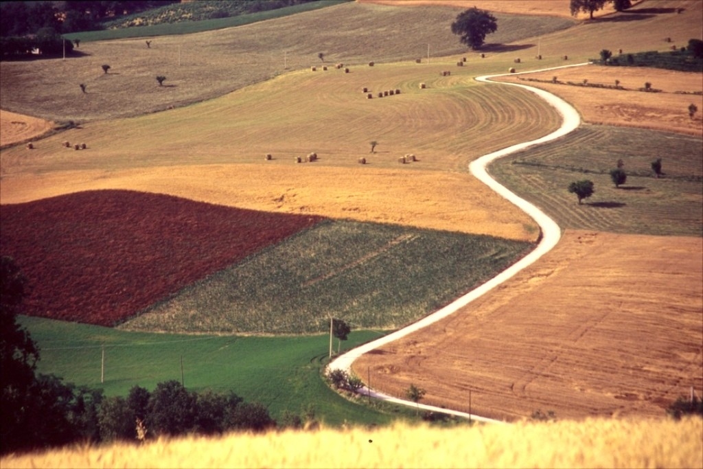 country road on the hill - Marche - Italy