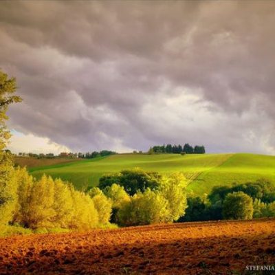 lovely hills - Macerata - Marche - Italy