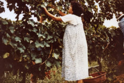 Villorani madre