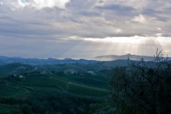 territorio vigneti Villorani